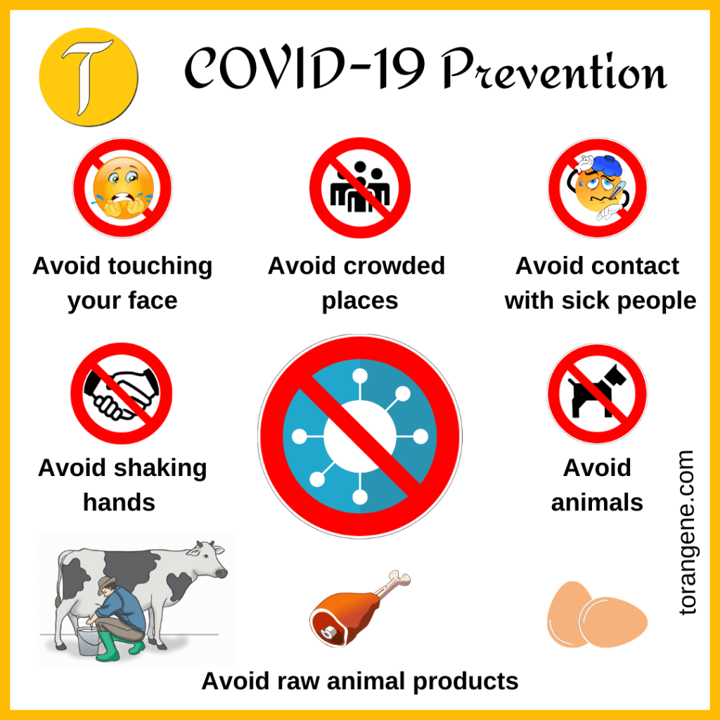 prevention of coronavirus 2